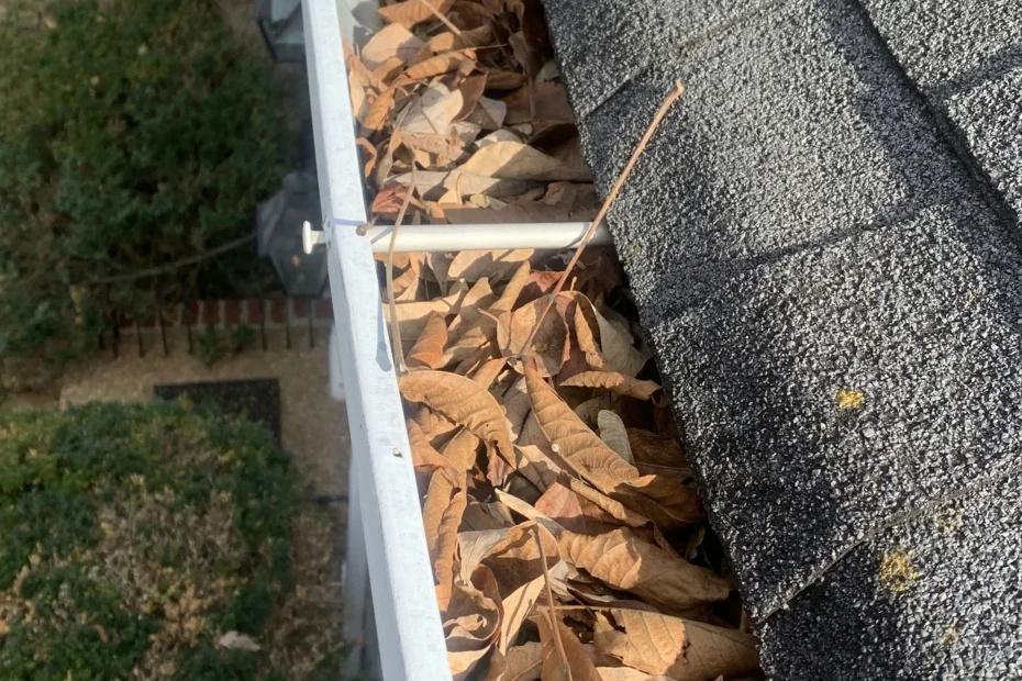 Gutter Cleaning Duson