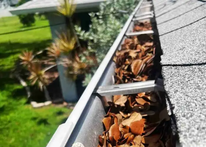 Gutter Cleaning Duson home page